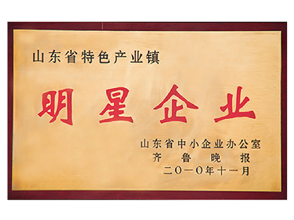 榮譽證（zhèng）書